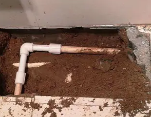 龙圩测漏水哪家好