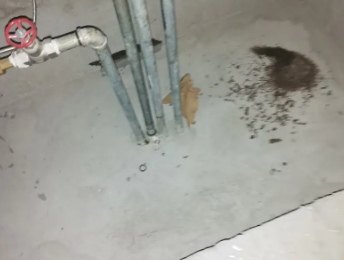 龙圩卫生间测漏水价格明细