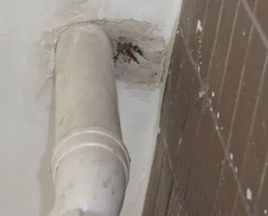 龙圩漏水检测哪家好